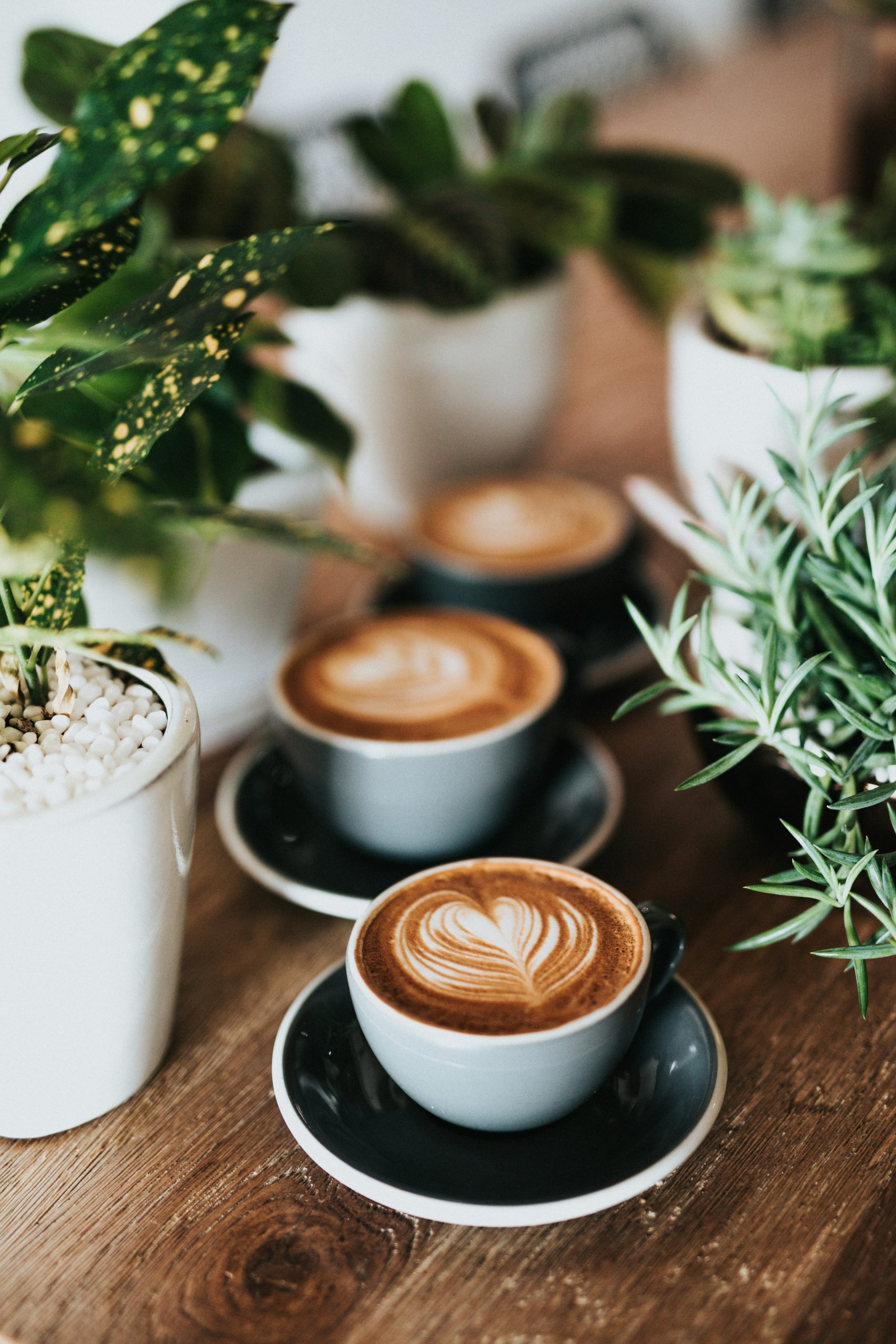 Nathan Dumlao ZUNs99PGDg0 Unsplash Scaled
